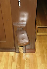 EschSure2006-3.jpg